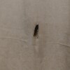 https://cdn-ostrovok-ru-ion.test.edgekey.net/t/100x100/hotel_review/3b/be/3bbe494068a0d64db64f07d72a8bcdaf83c737dd.JPEG