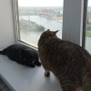 https://cdn-ostrovok-ru-ion.test.edgekey.net/t/100x100/hotel_review/3c/00/3c002c56ba993424a4a0a24896aeba31550c5fbb.JPEG