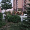 https://cdn-ostrovok-ru-ion.test.edgekey.net/t/100x100/hotel_review/3c/3a/3c3a28f99aa02b9f11e9d8387fc3445f79a447fd.JPEG