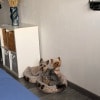 https://cdn-ostrovok-ru-ion.test.edgekey.net/t/100x100/hotel_review/3c/a8/3ca8bd3a955378e4faab9917e0a7f87ed434d644.JPEG