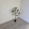 https://cdn-ostrovok-ru-ion.test.edgekey.net/t/100x100/hotel_review/3c/b0/3cb0dbd3d7a478c182da15475694b055489e2251.JPEG