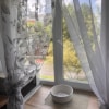 https://cdn-ostrovok-ru-ion.test.edgekey.net/t/100x100/hotel_review/3c/b1/3cb149decfe3a017eb771492b8a15fdbb38903e4.JPEG