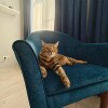 https://cdn-ostrovok-ru-ion.test.edgekey.net/t/100x100/hotel_review/3c/b1/3cb18540df0ca30ea60678d6a79ac809327ff99b.JPEG