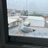https://cdn-ostrovok-ru-ion.test.edgekey.net/t/100x100/hotel_review/3c/d4/3cd4f01fdf8594bad624721155ef72b77bb06e82.JPEG