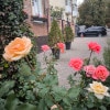 https://cdn-ostrovok-ru-ion.test.edgekey.net/t/100x100/hotel_review/3c/ed/3ced1ba4a9e1ae9a73573d2a7c9760681206565e.JPEG