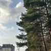 https://cdn-ostrovok-ru-ion.test.edgekey.net/t/100x100/hotel_review/3c/f7/3cf73641a09dbb1d9607f6088ac2fe0191c75e82.JPEG
