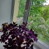 https://cdn-ostrovok-ru-ion.test.edgekey.net/t/100x100/hotel_review/3d/27/3d2720cdeda79fd8928f3c221d69de9927332d2b.JPEG