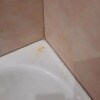 https://cdn-ostrovok-ru-ion.test.edgekey.net/t/100x100/hotel_review/3d/39/3d3965133ff45afc2912b83e00573801eae120fe.JPEG
