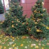 https://cdn-ostrovok-ru-ion.test.edgekey.net/t/100x100/hotel_review/3d/4f/3d4f7722c04dcd8a57c79537117bf8c7dab1dd12.JPEG