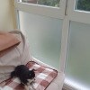 https://cdn-ostrovok-ru-ion.test.edgekey.net/t/100x100/hotel_review/3d/51/3d5199885ee0d4cac8e020969424971f6942858a.JPEG