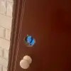 https://cdn-ostrovok-ru-ion.test.edgekey.net/t/100x100/hotel_review/3d/9c/3d9ce6dc6f0977961015791290734eee2740ab25.JPEG