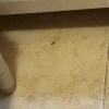 https://cdn-ostrovok-ru-ion.test.edgekey.net/t/100x100/hotel_review/3d/9f/3d9f3a76bf60b2736d4c0c5d6b58f741e8607e22.JPEG