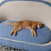 https://cdn-ostrovok-ru-ion.test.edgekey.net/t/100x100/hotel_review/3d/b3/3db32f6a3e228532403589691c953b54439c8ab8.JPEG