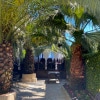 https://cdn-ostrovok-ru-ion.test.edgekey.net/t/100x100/hotel_review/3d/f8/3df8913457e70ab7b238a749023ec4e5b3a7f254.jpeg