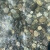 https://cdn-ostrovok-ru-ion.test.edgekey.net/t/100x100/hotel_review/3e/0a/3e0a7b39a27e53bb5ffc7600ed72f3e9e9820898.JPEG