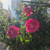 https://cdn-ostrovok-ru-ion.test.edgekey.net/t/100x100/hotel_review/3e/6e/3e6ee53eab0a1c2f8376c0e1576c4804504d770b.JPEG