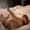 https://cdn-ostrovok-ru-ion.test.edgekey.net/t/100x100/hotel_review/3e/81/3e813f3e662da9da816d5249e37d8196b71438b5.JPEG