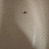 https://cdn-ostrovok-ru-ion.test.edgekey.net/t/100x100/hotel_review/3e/be/3ebe5dc453e516da31500657da90d17b947fcb70.JPEG