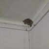 https://cdn-ostrovok-ru-ion.test.edgekey.net/t/100x100/hotel_review/3e/cc/3ecc2a44cc10f042218624c367d3ace48f32bb01.JPEG