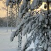 https://cdn-ostrovok-ru-ion.test.edgekey.net/t/100x100/hotel_review/3e/d5/3ed59064824f7a9f0b76ed58988ed14c8dfc79eb.JPEG