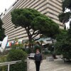 https://cdn-ostrovok-ru-ion.test.edgekey.net/t/100x100/hotel_review/3e/f0/3ef0adf83725e6d10e5db553b4ab59ab55b372da.jpeg
