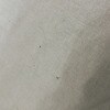 https://cdn-ostrovok-ru-ion.test.edgekey.net/t/100x100/hotel_review/3e/fb/3efb691dffd5038f8bb5bbc60abc408b69d3ea67.JPEG