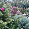 https://cdn-ostrovok-ru-ion.test.edgekey.net/t/100x100/hotel_review/3f/04/3f04d1353407d23eeef4a29442645189921c6627.JPEG