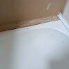 https://cdn-ostrovok-ru-ion.test.edgekey.net/t/100x100/hotel_review/3f/72/3f72464a020e1590ad702e6feeb35ff8d4f9ed60.JPEG