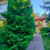 https://cdn-ostrovok-ru-ion.test.edgekey.net/t/100x100/hotel_review/3f/ae/3fae2a14e614b9f13e6a076f1441a2a10de66098.JPEG