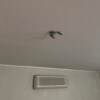 https://cdn-ostrovok-ru-ion.test.edgekey.net/t/100x100/hotel_review/3f/ae/3fae3c4dee67514a718436913a340ac7e8a35ae3.JPEG