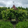 https://cdn-ostrovok-ru-ion.test.edgekey.net/t/100x100/hotel_review/3f/bd/3fbdd6069d648f9f1f160c365cf2f7777ce11dcd.JPEG