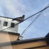https://cdn-ostrovok-ru-ion.test.edgekey.net/t/100x100/hotel_review/3f/db/3fdb297c3b055ea168716473ed583fdb04b7fff7.JPEG