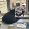 https://cdn-ostrovok-ru-ion.test.edgekey.net/t/100x100/hotel_review/40/12/40122bbc6a5978becc0d2ae435496b7e35500288.JPEG