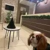 https://cdn-ostrovok-ru-ion.test.edgekey.net/t/100x100/hotel_review/40/18/4018f556ff20b1e24d161ee1548a386a20af7735.JPEG
