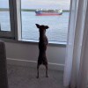 https://cdn-ostrovok-ru-ion.test.edgekey.net/t/100x100/hotel_review/40/4e/404eff33a3bffdc7484459b6a2175d79d6a0f476.JPEG
