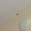 https://cdn-ostrovok-ru-ion.test.edgekey.net/t/100x100/hotel_review/40/58/4058935a6a18d63f495ba52a59b5f83e8ec8073a.JPEG