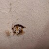 https://cdn-ostrovok-ru-ion.test.edgekey.net/t/100x100/hotel_review/40/67/406713e6e5f4a5c9077836e40129d3e347a6250a.JPEG