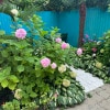 https://cdn-ostrovok-ru-ion.test.edgekey.net/t/100x100/hotel_review/40/72/40723fddb1aef3b77c18420a8be7483d1e36408b.JPEG