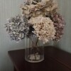 https://cdn-ostrovok-ru-ion.test.edgekey.net/t/100x100/hotel_review/40/a4/40a482fba07fa050797b6239d86d358a9b0e9589.JPEG