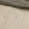 https://cdn-ostrovok-ru-ion.test.edgekey.net/t/100x100/hotel_review/40/b2/40b24cd45556e9e8bc98b6f81154c2e152de0f12.JPEG