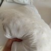 https://cdn-ostrovok-ru-ion.test.edgekey.net/t/100x100/hotel_review/40/ce/40cea888071891f5aa2dff7d612cf0c60d469e9d.JPEG