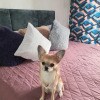 https://cdn-ostrovok-ru-ion.test.edgekey.net/t/100x100/hotel_review/40/d6/40d6b8d9285f0b3bd07caff14128b47f25462401.JPEG
