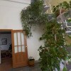 https://cdn-ostrovok-ru-ion.test.edgekey.net/t/100x100/hotel_review/40/e6/40e613ed99702f0277c214491e34ae426dea22c2.PNG