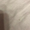 https://cdn-ostrovok-ru-ion.test.edgekey.net/t/100x100/hotel_review/40/e8/40e8caa0f82d3dde6c1cc422d9df88a7d3a8a307.JPEG
