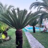 https://cdn-ostrovok-ru-ion.test.edgekey.net/t/100x100/hotel_review/41/06/410604dea5d1548fe7ab9bc0c33cbe2767ed3040.JPEG