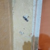 https://cdn-ostrovok-ru-ion.test.edgekey.net/t/100x100/hotel_review/41/41/41419756ebf2a1cd2b7d898428848177e0a0be36.jpeg