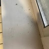 https://cdn-ostrovok-ru-ion.test.edgekey.net/t/100x100/hotel_review/41/ae/41ae8ea2210a9340036399041c44e9e608f64712.JPEG
