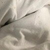 https://cdn-ostrovok-ru-ion.test.edgekey.net/t/100x100/hotel_review/41/c9/41c92aef698d03bda34cc5d23a5b9e722aa7368a.jpeg
