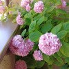 https://cdn-ostrovok-ru-ion.test.edgekey.net/t/100x100/hotel_review/41/cc/41ccb717ac19dae24557bd0f441337eea69dfff2.JPEG