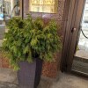 https://cdn-ostrovok-ru-ion.test.edgekey.net/t/100x100/hotel_review/41/d4/41d40a3239e4f99315328a4e03a3c263ac7f4235.JPEG